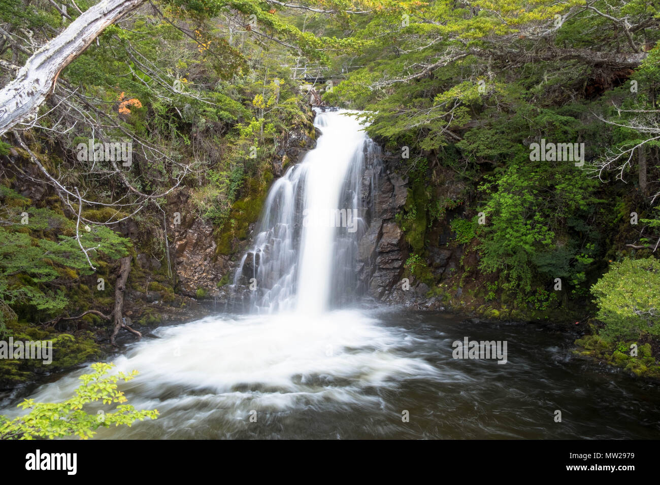 Una cascata cileno vicino a Puerto Williams sull Isola Navarino. È la città più meridionale che vale la pena che il nome prima di voi reacht Antartide. Foto Stock