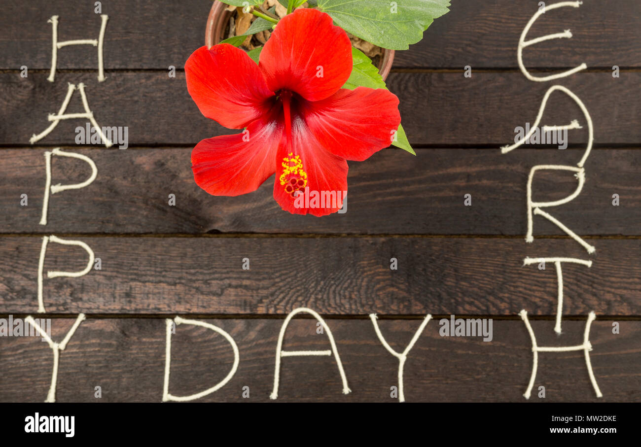 La giornata della terra concetto.hibiscus rosso su sfondo di legno. Foto Stock