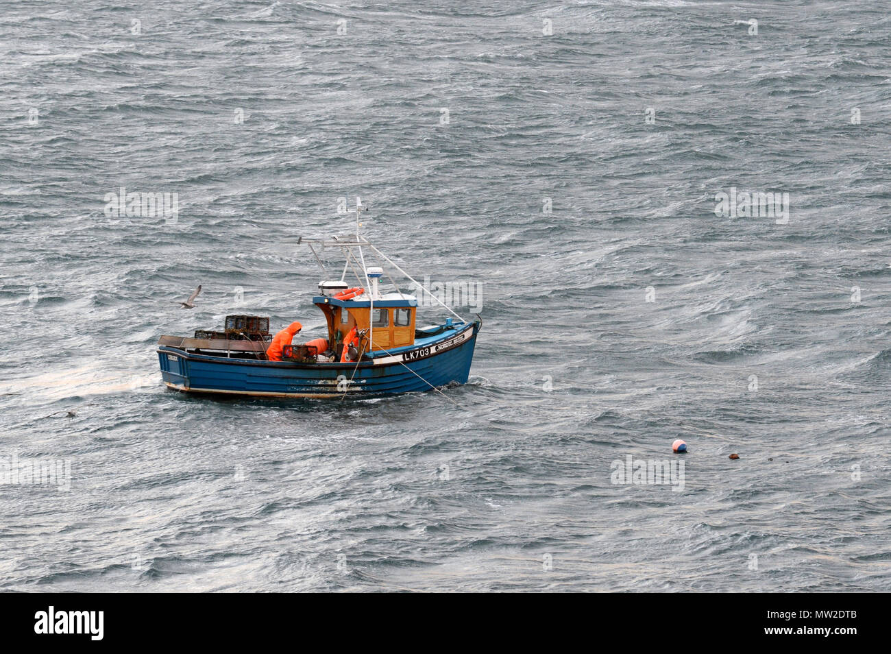 Piccola barca da pesca in mare con 2 equipaggi a bordo di prelievo di aragosta ceste cantra pot Foto Stock