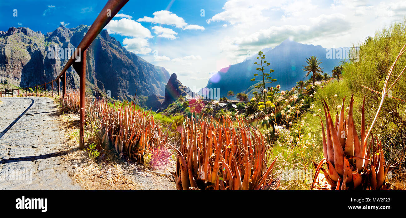 Valle Masca.Isola Canarie.Tenerife.Scenic paesaggio di montagna.Cactus,vegetazione e panorama al tramonto a Tenerife Foto Stock