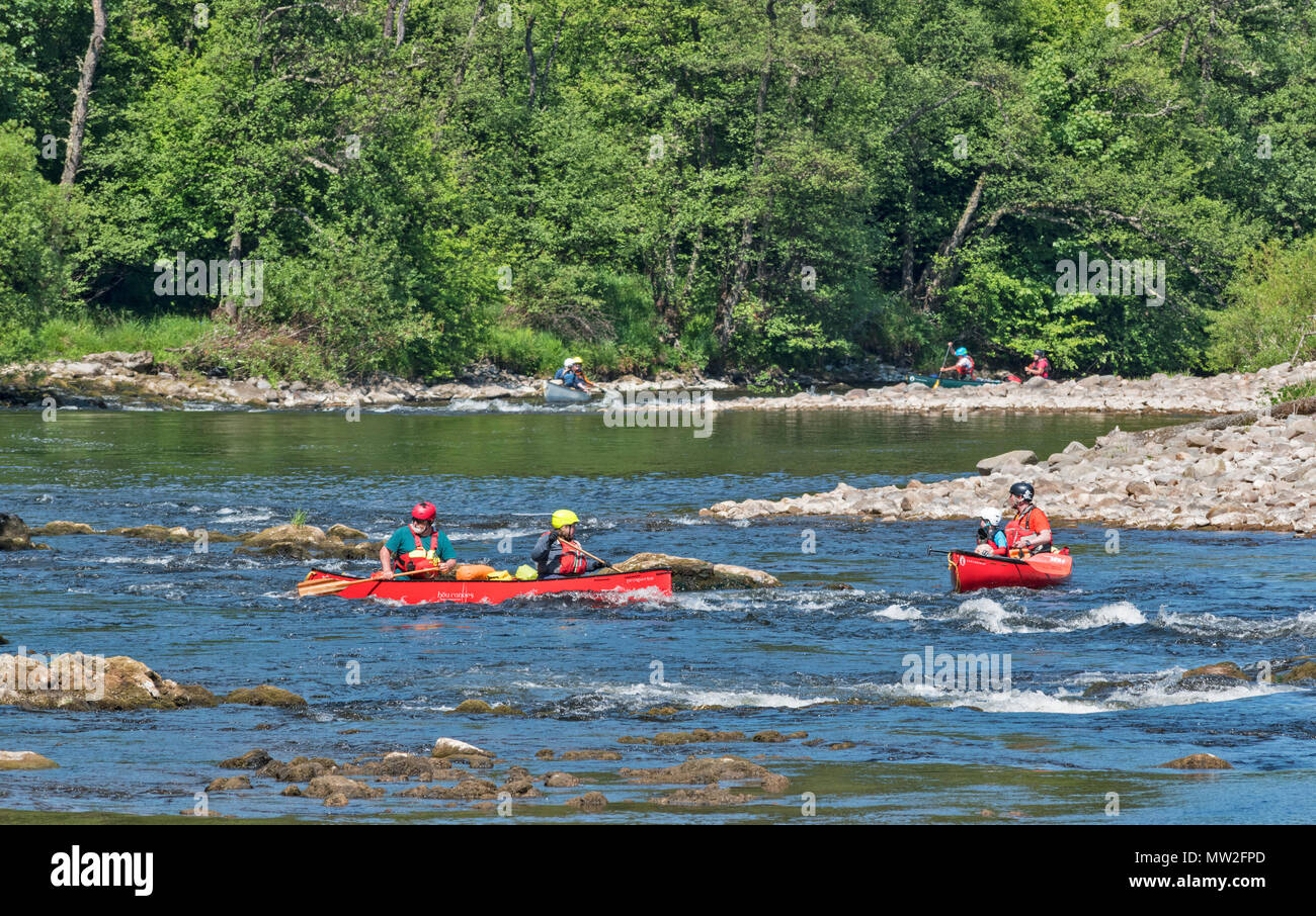 Fiume Spey SPEYSIDE TAMDHU SCOZIA CANOEIST canoa cinque canoe con persone evitando rocce nelle rapide del fiume IN PRIMAVERA Foto Stock