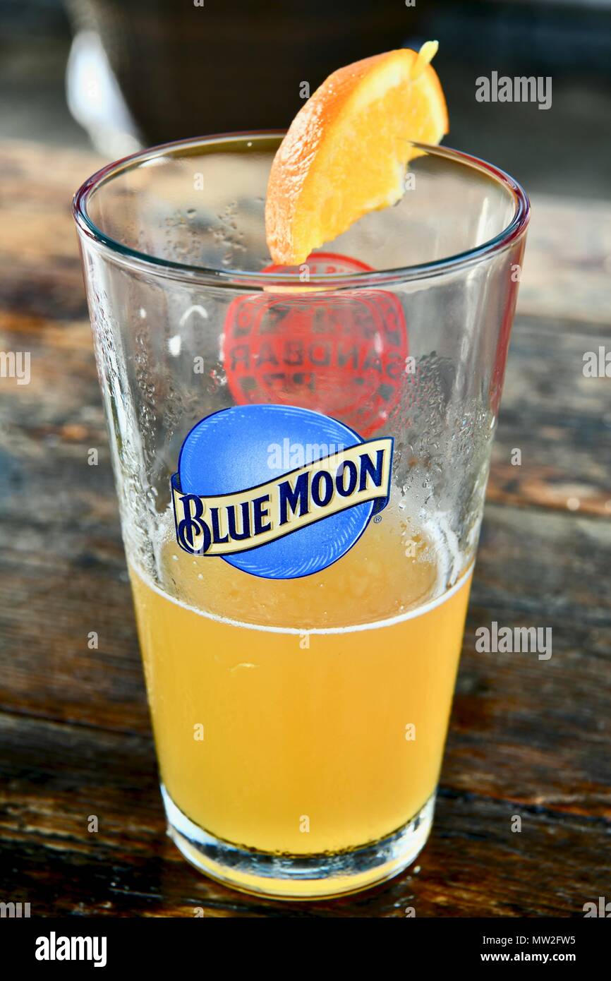 Blue Moon belga birra bianca sul progetto in un bicchiere Foto Stock
