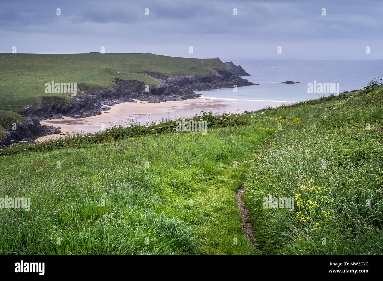 Porth scherzo Polly scherzo sul North Cornwall coast. Foto Stock