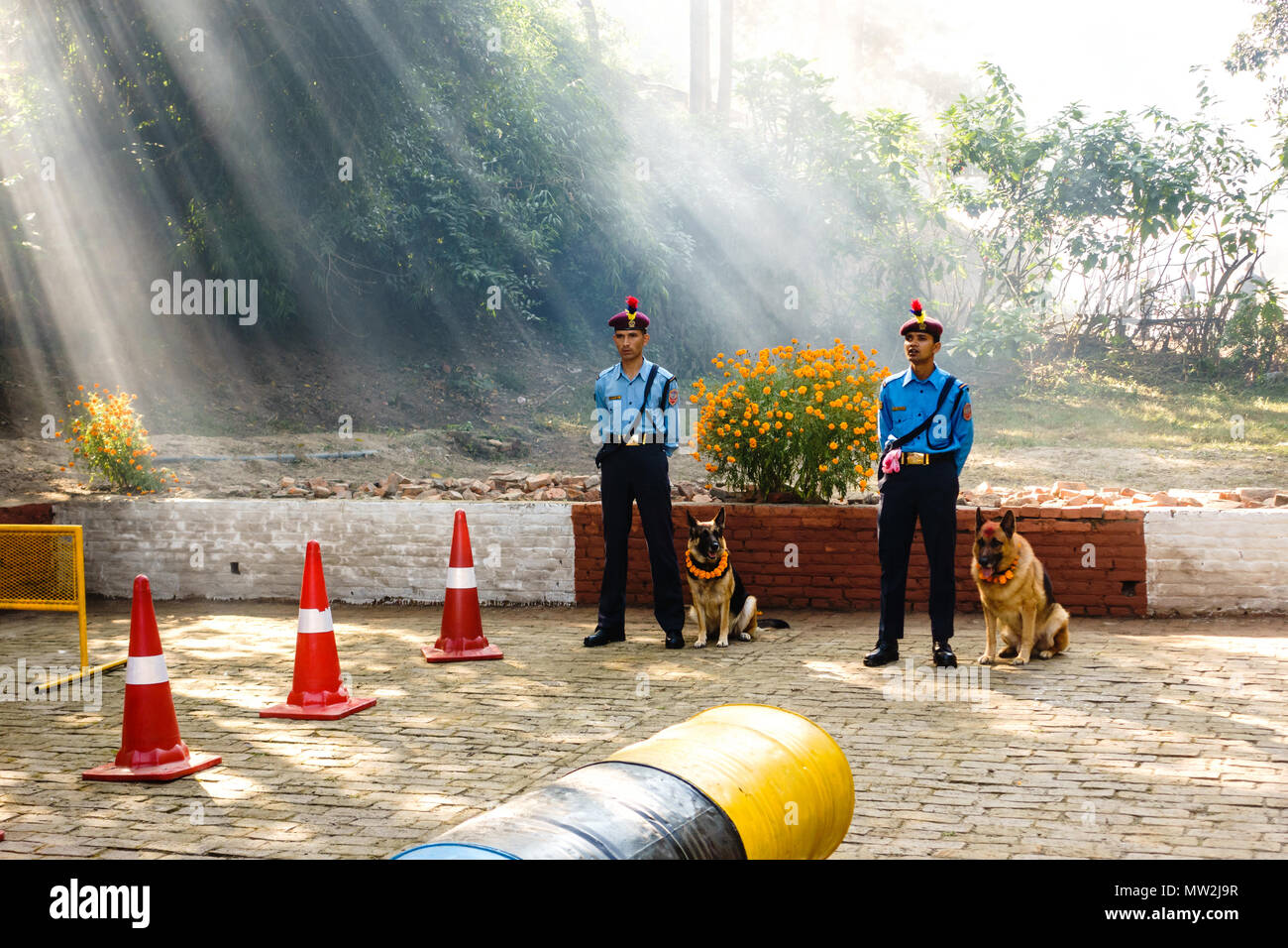 KATHMANDU, NEPAL - Ottobre 29, 2016: polizia nepalese celebra Kukur Tihar è (cane festival) alla centrale di polizia di addestramento del cane scuola. Foto Stock