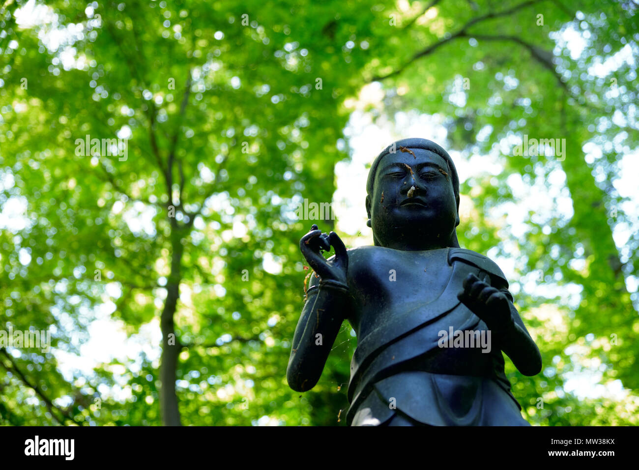 Statua e foglie verdi a Mount Takao in primavera, Tokyo, Giappone Foto Stock