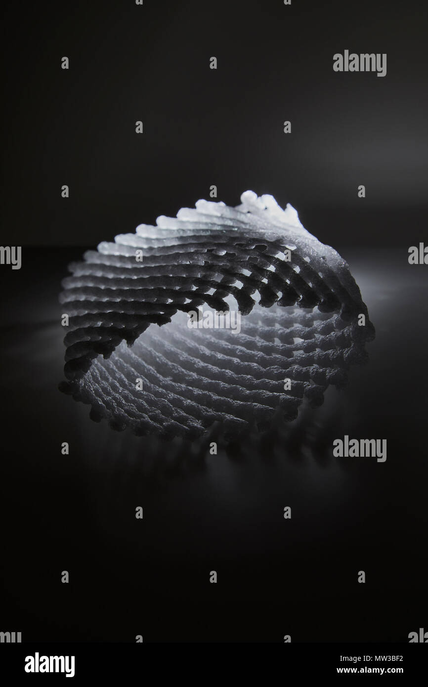 Il polistirene all'imballaggio della frutta. Foto Stock