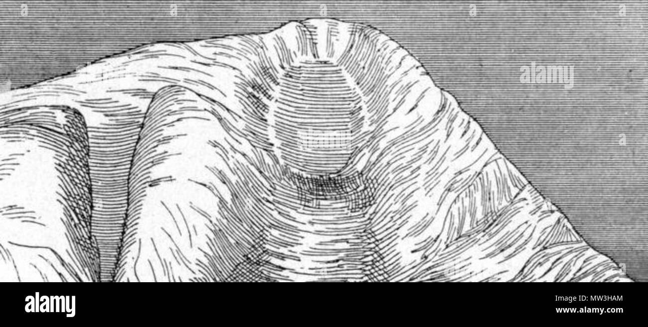 . Inglese: letto del ghiacciaio locale, Saint Lawrence isola . Il 27 luglio 2011. John Muir 462 Pagina 347-cruiseofcorwin 3 Foto Stock