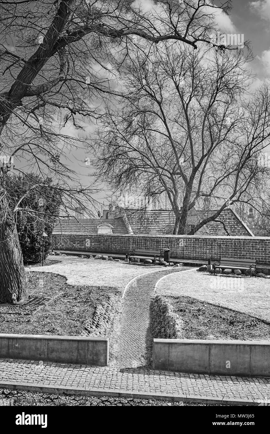 Immagine in bianco e nero di un percorso in un parco. Foto Stock