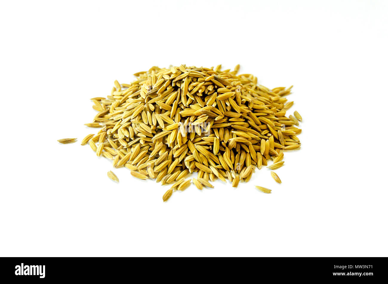 Pila di risone e di riso sementi sul fondo bianco per isolato, Marrone di grana di riso e close-up di riso pila Foto Stock