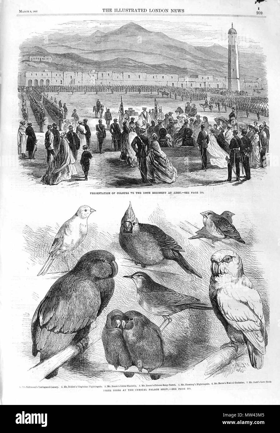 . Il Illustrated London News, 1866, p. 209 . Il 3 marzo 1866. Sconosciuto 293 ILN 1866, p. 209 Foto Stock