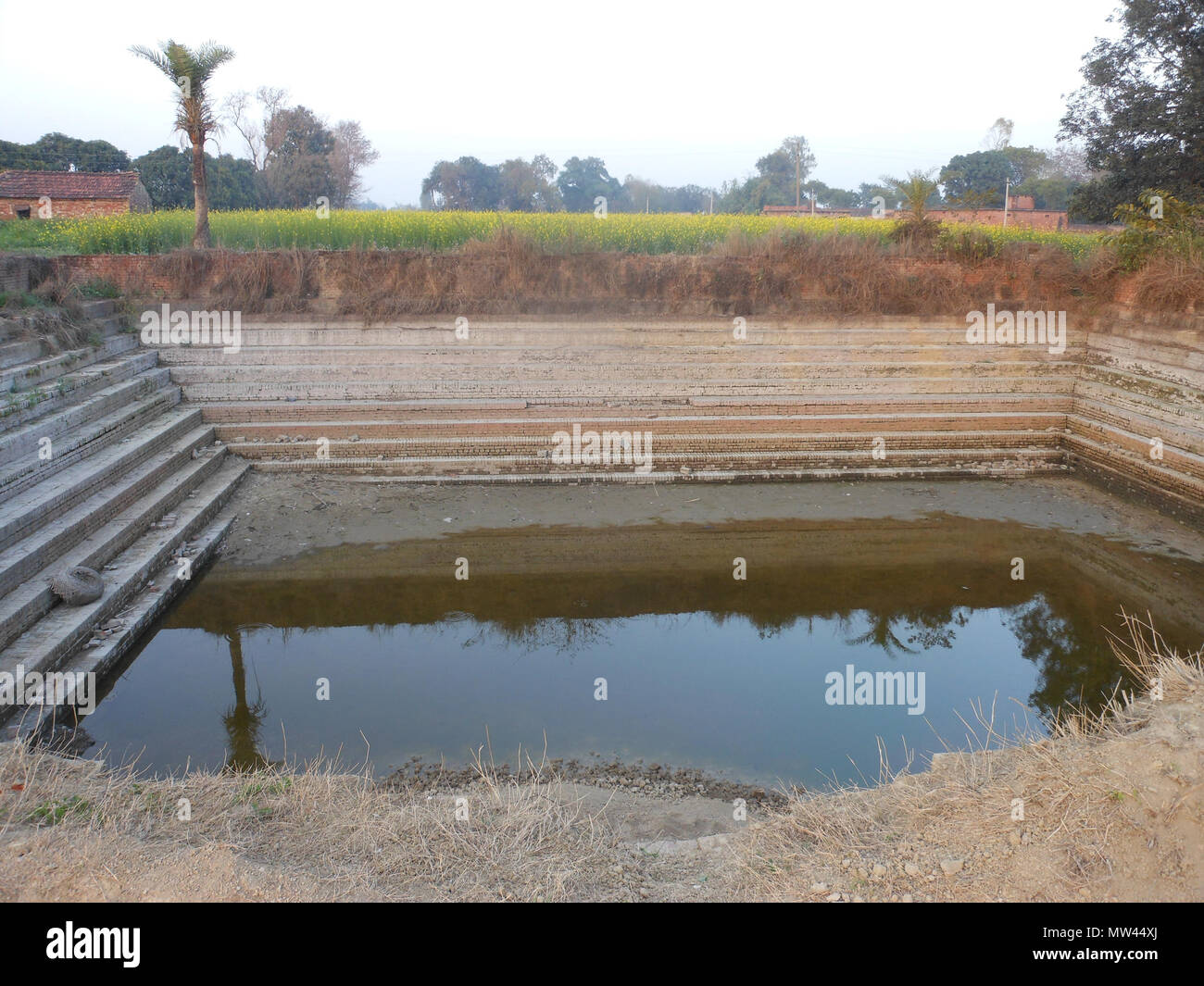 . Questo chiamato Samad baba pokhra ka . 3 febbraio 2011. Nafees Ahmad 266 Hanswar piscina Foto Stock