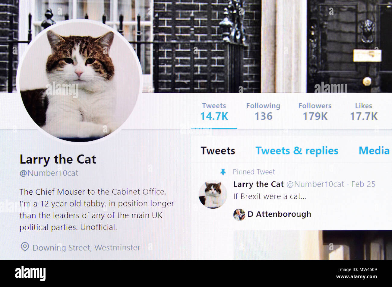 Larry il gatto pagina su Twitter (2018) Foto Stock