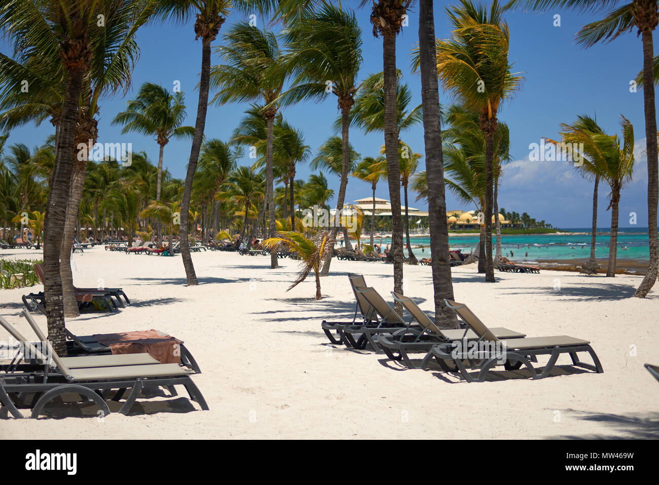 Vista resort hotel di lusso di spiaggia di Costa Tropicale. Foglie di palme da cocco che fluttua nel vento contro il cielo blu. Acque turchesi del Mar dei Caraibi. Riviera Maya Messico. Foto Stock