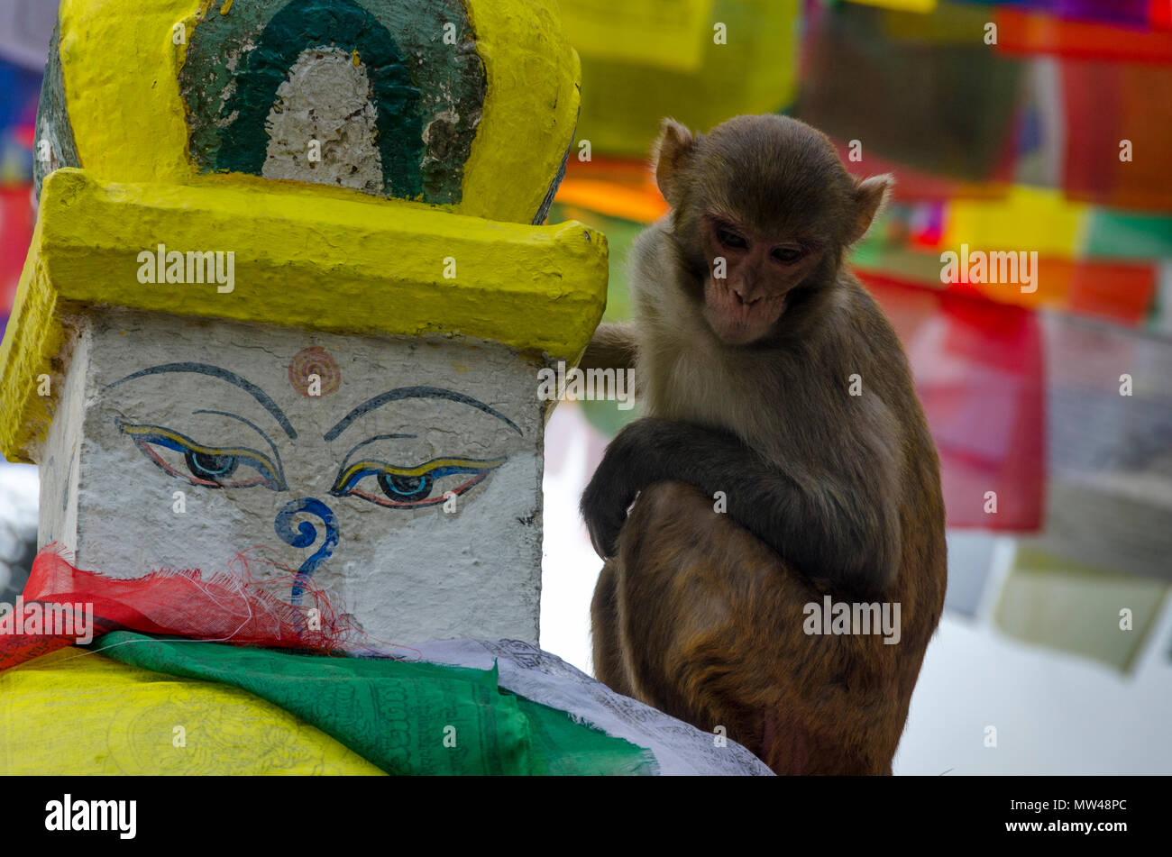 Swayambhunath temple, Kathmandu, Nepal Foto Stock