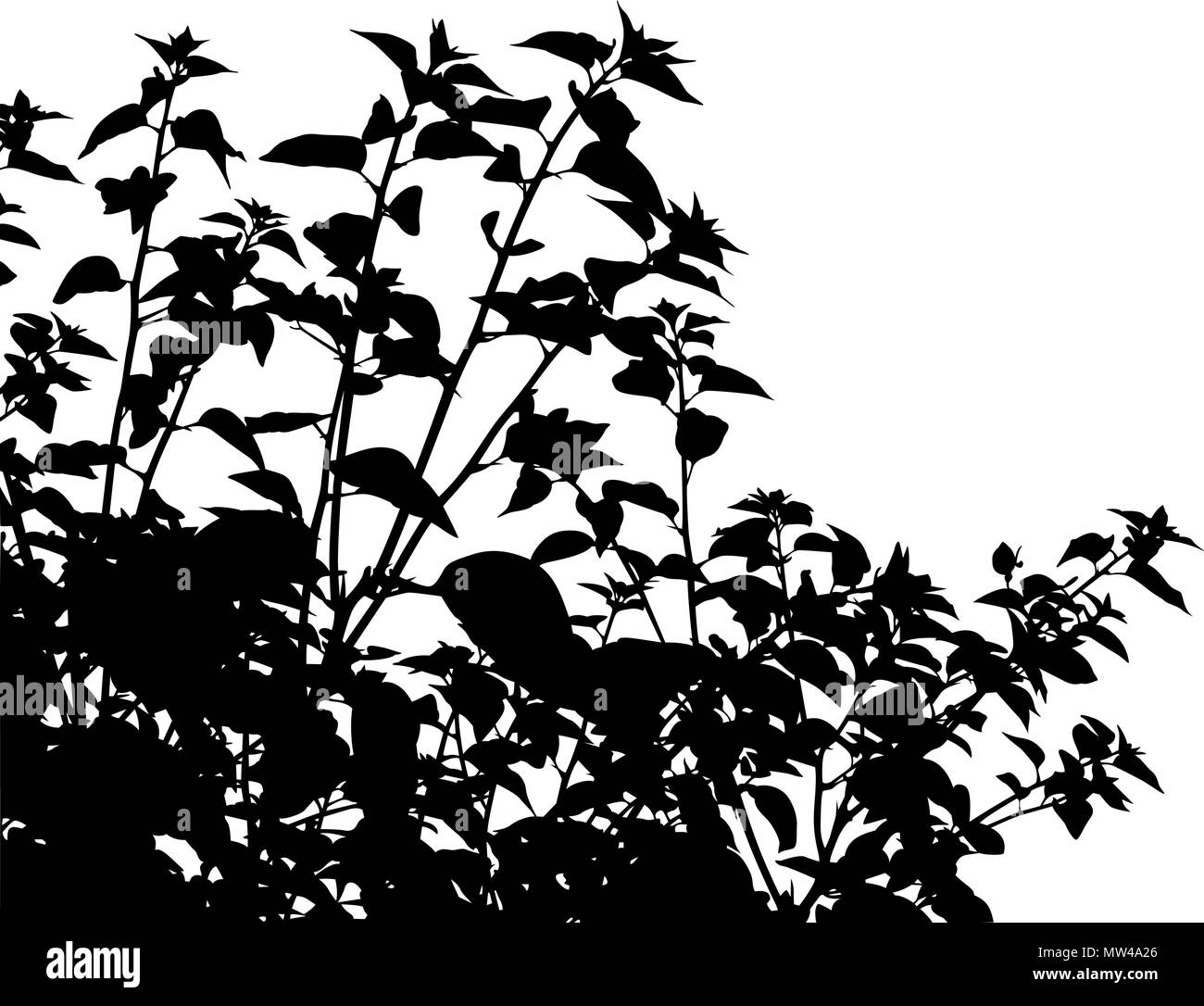 Vettore modificabile silhouette di vegetazione generico Illustrazione Vettoriale