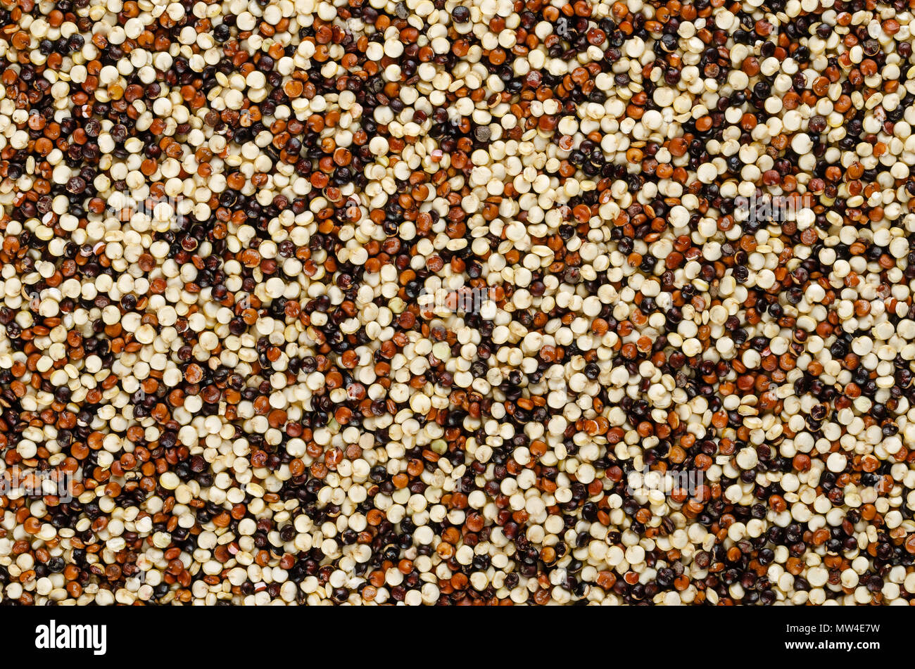Quinoa mista semi, superficie, dall'alto. Sfondo. Pseudocereal. Il giallo, il rosso e il nero dei frutti del raccolto di grano Chenopodium quinoa. Foto di cibo. Foto Stock
