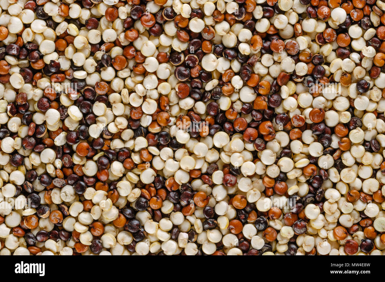 Quinoa mista semi, fotografia macro, dall'alto. Pseudocereal. Il giallo, il rosso e il nero dei frutti del raccolto di grano Chenopodium quinoa. Macro foto di cibo. Foto Stock
