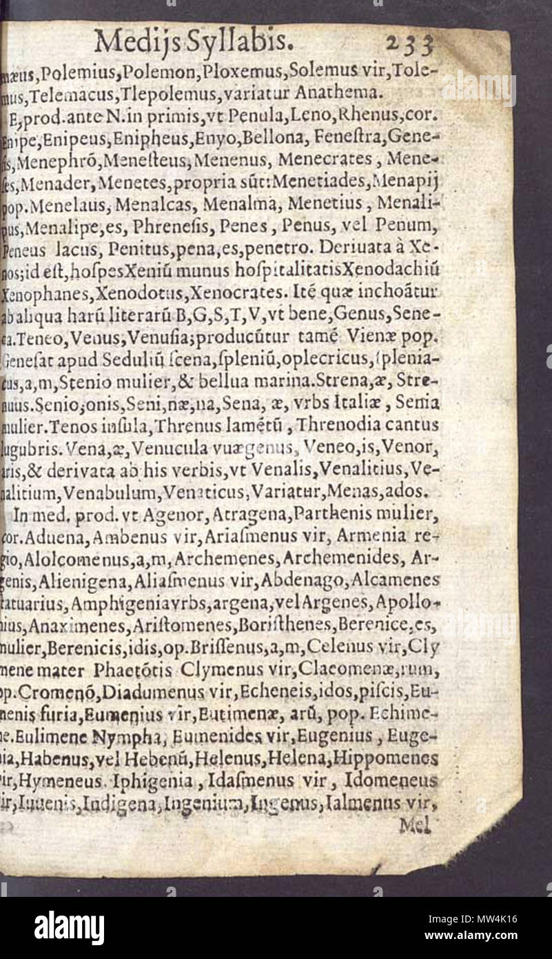 . Polski: Anonimo & http://dbpedia.org/resource/Anonymous (fascia).+[De institutione grammaticae liber quintus [de Syllabarum quantificare ac versificandi ratione]]. Europeana. Richiamato su 2015-09-27. Tra il 1500 e il 1600. Anonimo 155 De Syllabarum quantificare ac versificandi ratione p. 233 Foto Stock