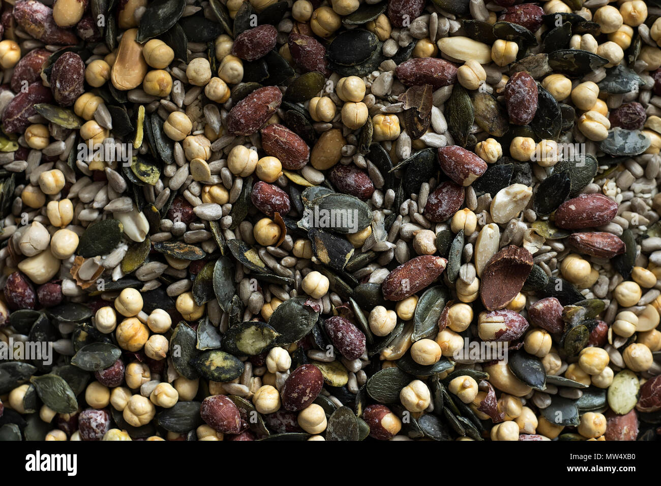 Backround riempito con la composizione di semi Foto Stock