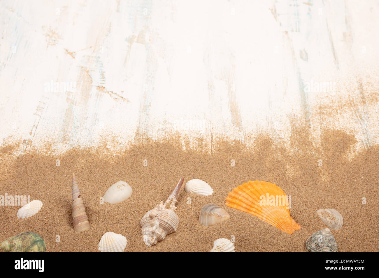 Conchiglie con sabbia su un blu e bianco sullo sfondo di legno. Vista da sopra con area di testo Foto Stock