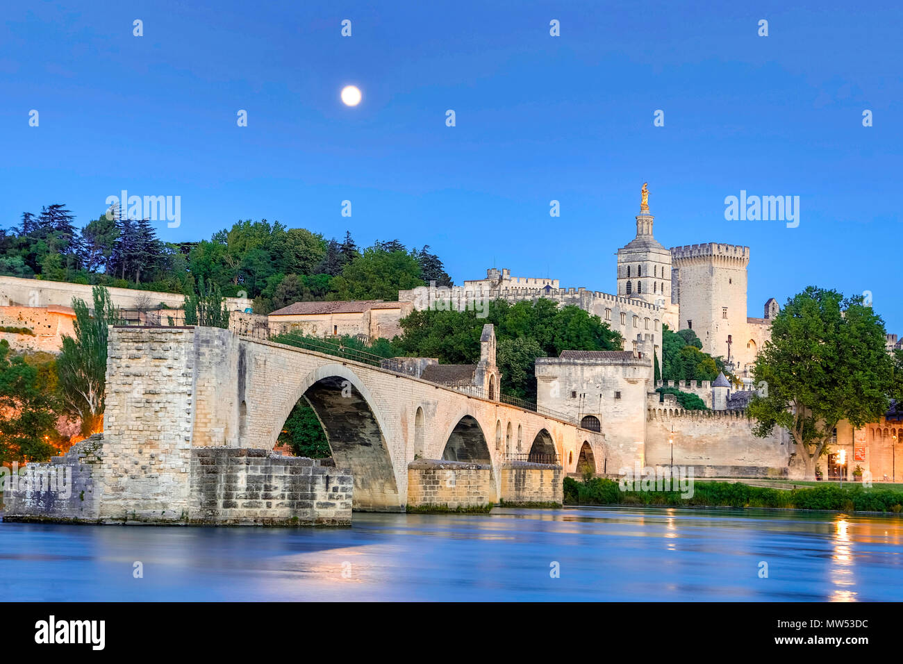 Francia, regione della Provenza, città di Avignone, il Palazzo dei Papi ,SAN Benezet bridge, Rhone river al chiaro di luna Foto Stock