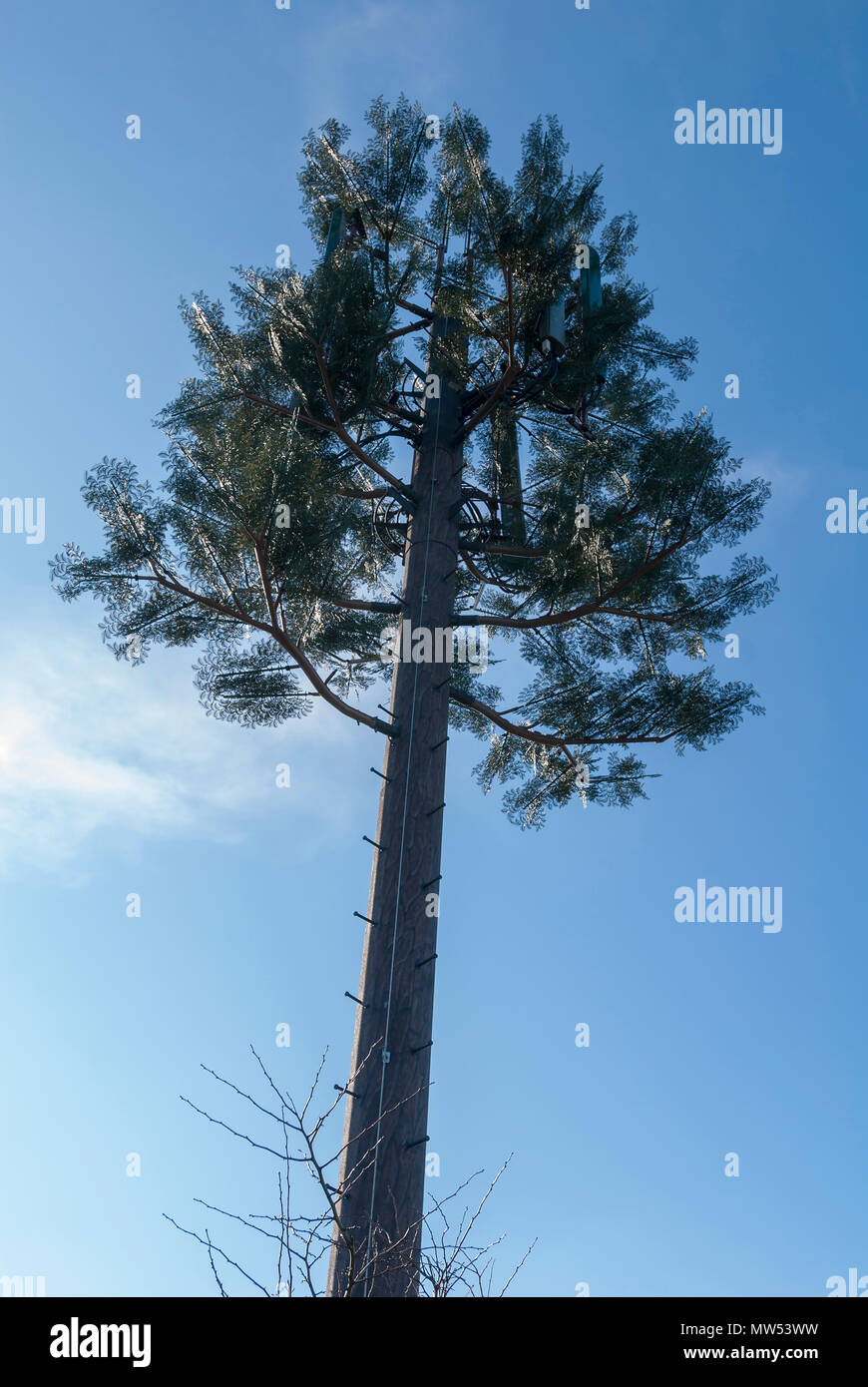 Telefono cellulare imitando il montante di una struttura ad albero Foto Stock