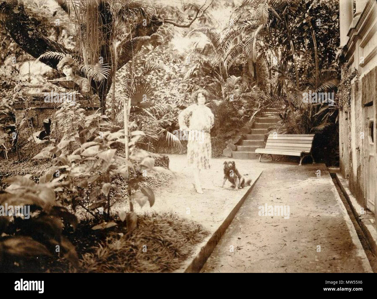 . Português: LAURENCE PALMIRE MARTIGNET PARREIRAS EM SEU JARDIM (ATRIBUÍDO) / DÉCADA DE 1920 CIRCA AUTORIA DESCONHECIDA . tra 1920 e 1930. Sconosciuto 360 Laurence Palmire Martignet Parreiras em seu jardim Foto Stock