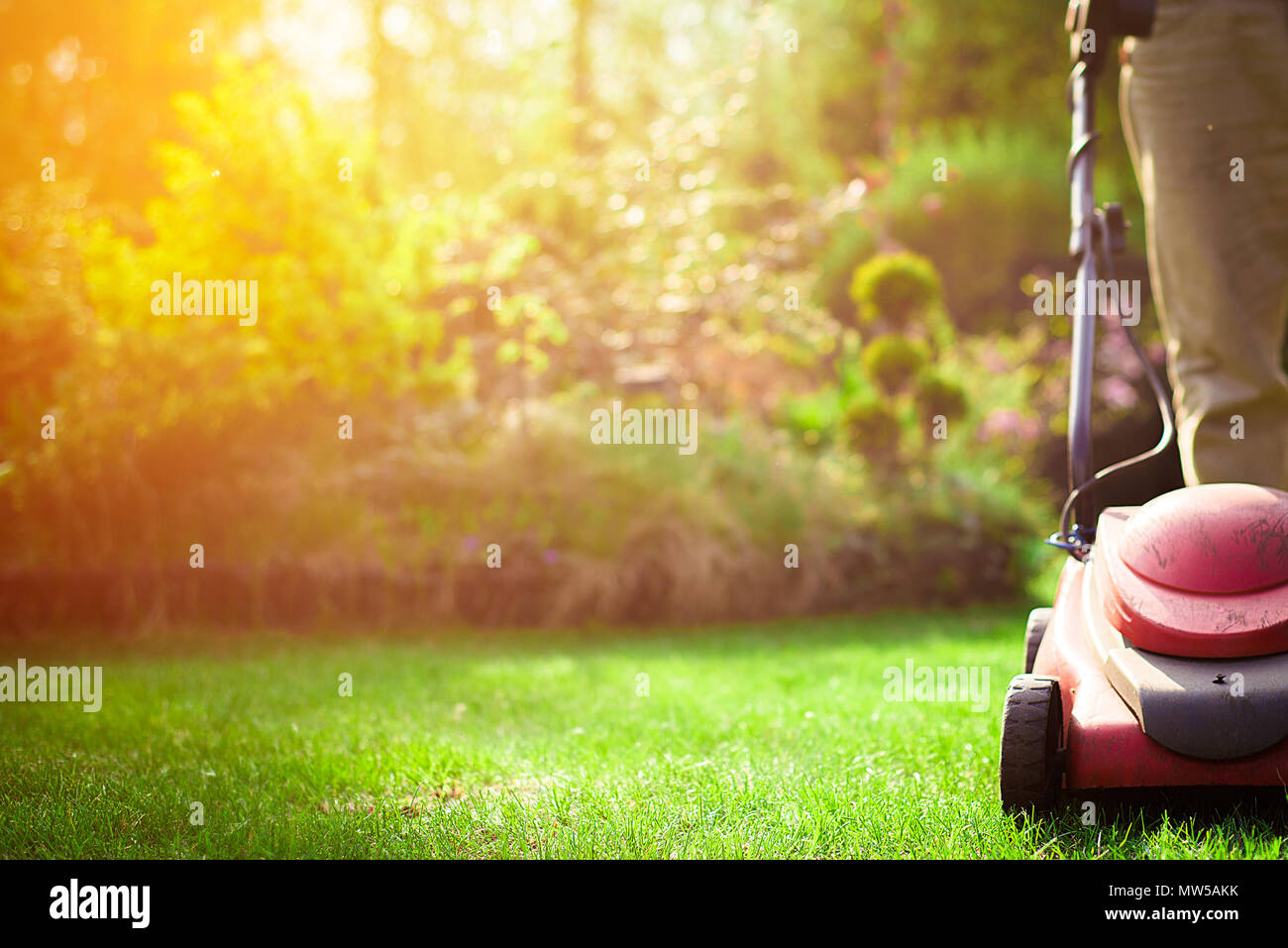 La falciatura dell'erba. Il giardiniere mows l'erba con un rosso tosaerba elettrico. Lavorare in giardino, la pulizia di primavera. La cura per il giardino e l'erba. Foto Stock