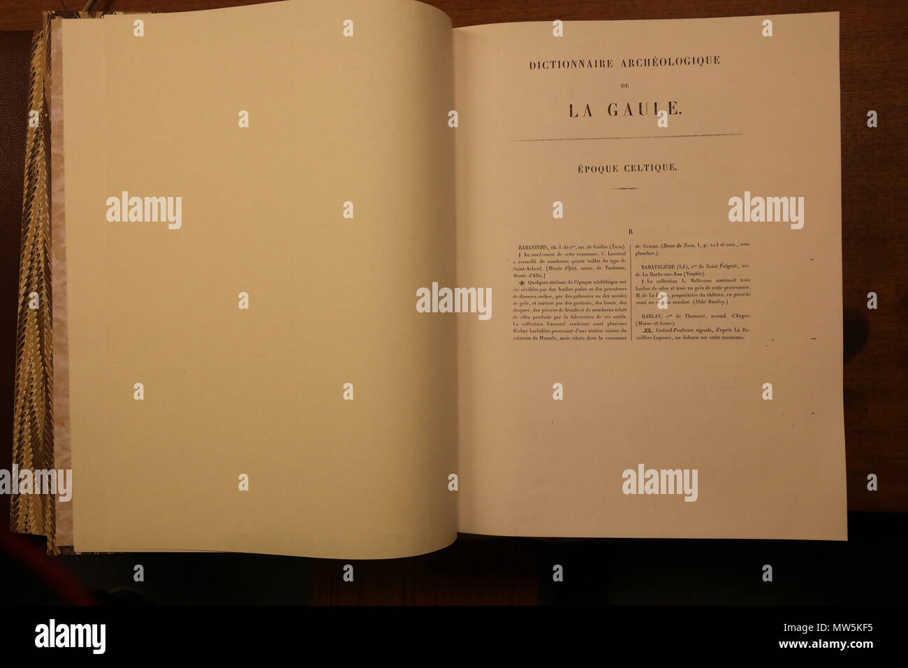 . Français : Dictionnaire archéologique de la Gaule, volume r à Z, publié par la Commissione instituée au ministère de l'istruzione publique et des Beaux-Arts, 1875. Exemplaire du Musée nationale d'Archéologie . 27 Marzo 2017 16:42:50. Commissione de la topographie de la Gaule 151 Dag-Dictionnaire-3-II-R-Z Foto Stock