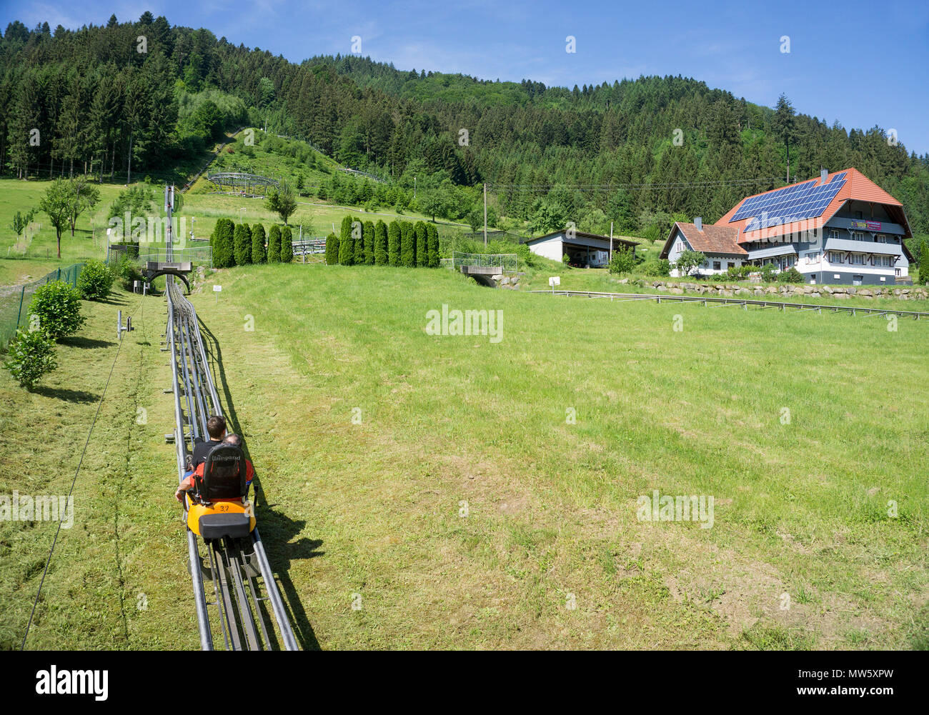 Sommerrodelbahn in Gutach, Schwarzwald, Baden-Wuerttemberg, Deutschland, Europa | Dry toboggan run presso il villaggio Gutach, Foresta Nera, Baden-Wuerttem Foto Stock