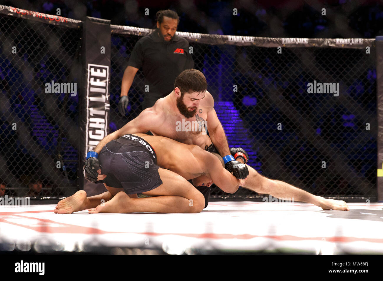 Batraz Agnaev (top) e Max Nunes durante il loro gioco a ACB 54 (Assoluta di campionato Berkut) a Manchester, UK. Agnaev ha vinto al primo turno da TKO. Arti marziali miste, MMA. Foto Stock