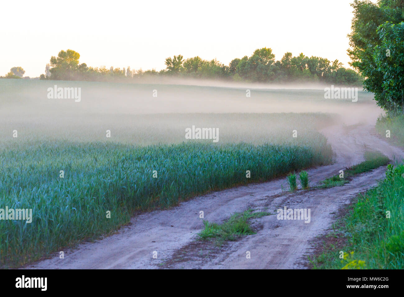 Strada al di là della città di impassability e polvere, della fauna selvatica e delle stagioni Foto Stock