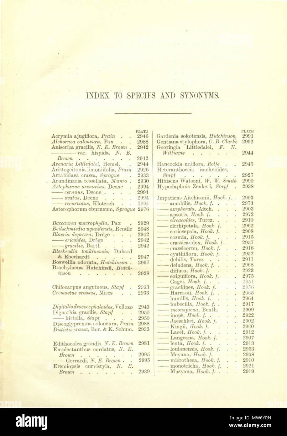 . Hooker - Icones Plantarum vol. 30, indice 1 . (1913). modificare da William Jackson Hooker (1785-1865) e Joseph Dalton Hooker (1817-1911) 15 2prostitute - Icones Plantarum vol. 30 Indice 1 (1913) Foto Stock