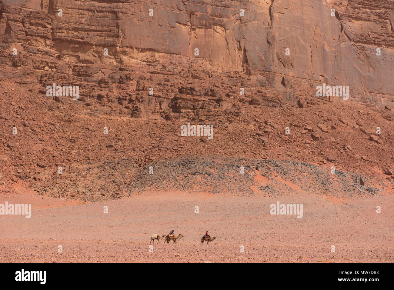 Camel caravan andando attraverso il Wadi Rum desert, Giordania Foto Stock