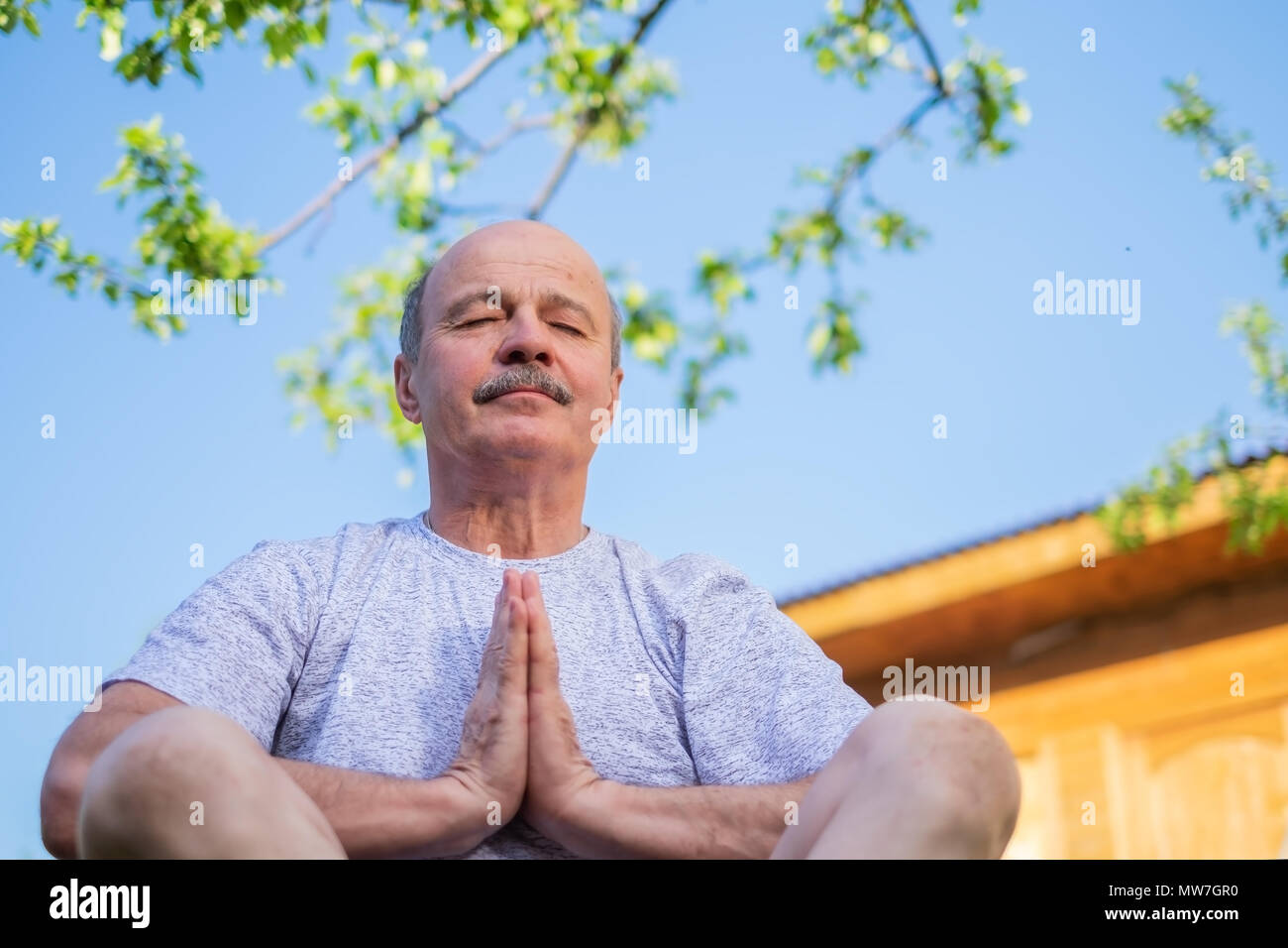Senior pacifica uomo meditando seduto ooutdoor sotto l'albero Foto Stock