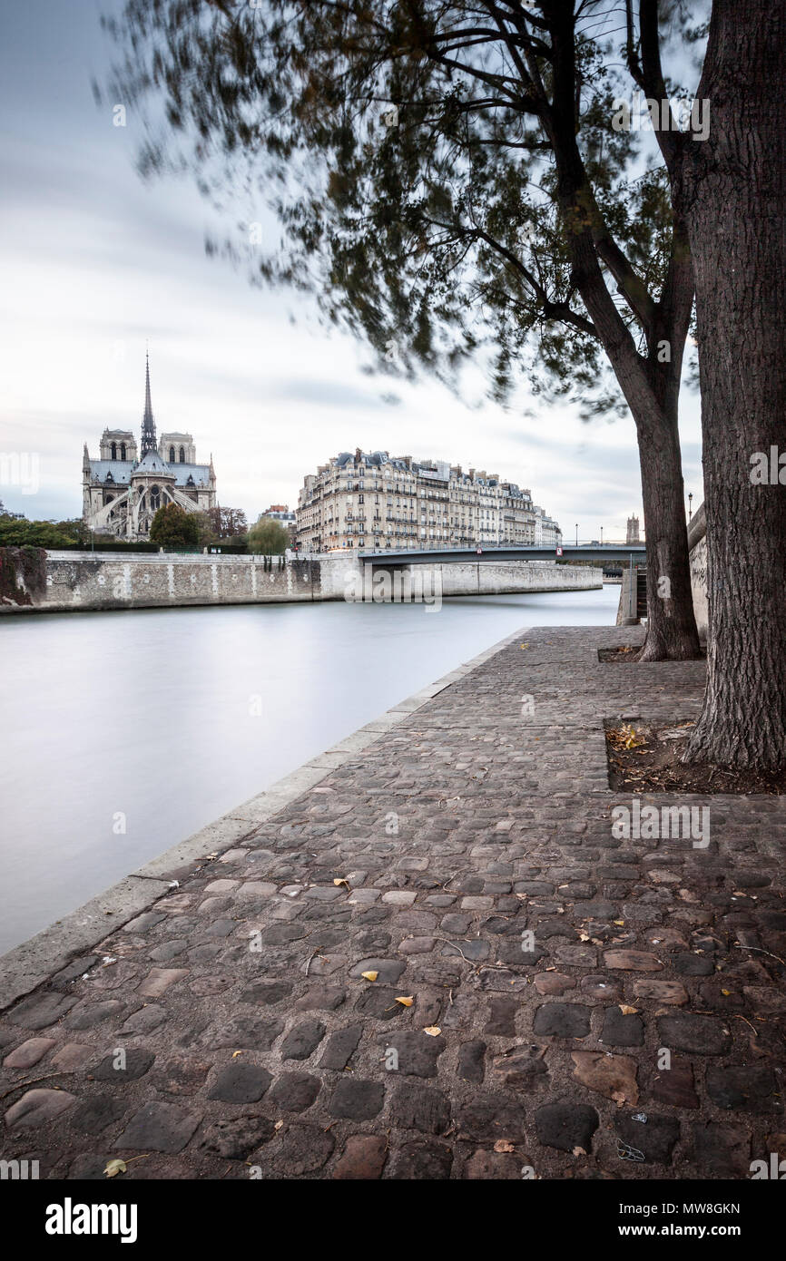 Senna passerella con la cattedrale di Notre Dame al di là, Parigi, Ile-de-France, Francia Foto Stock