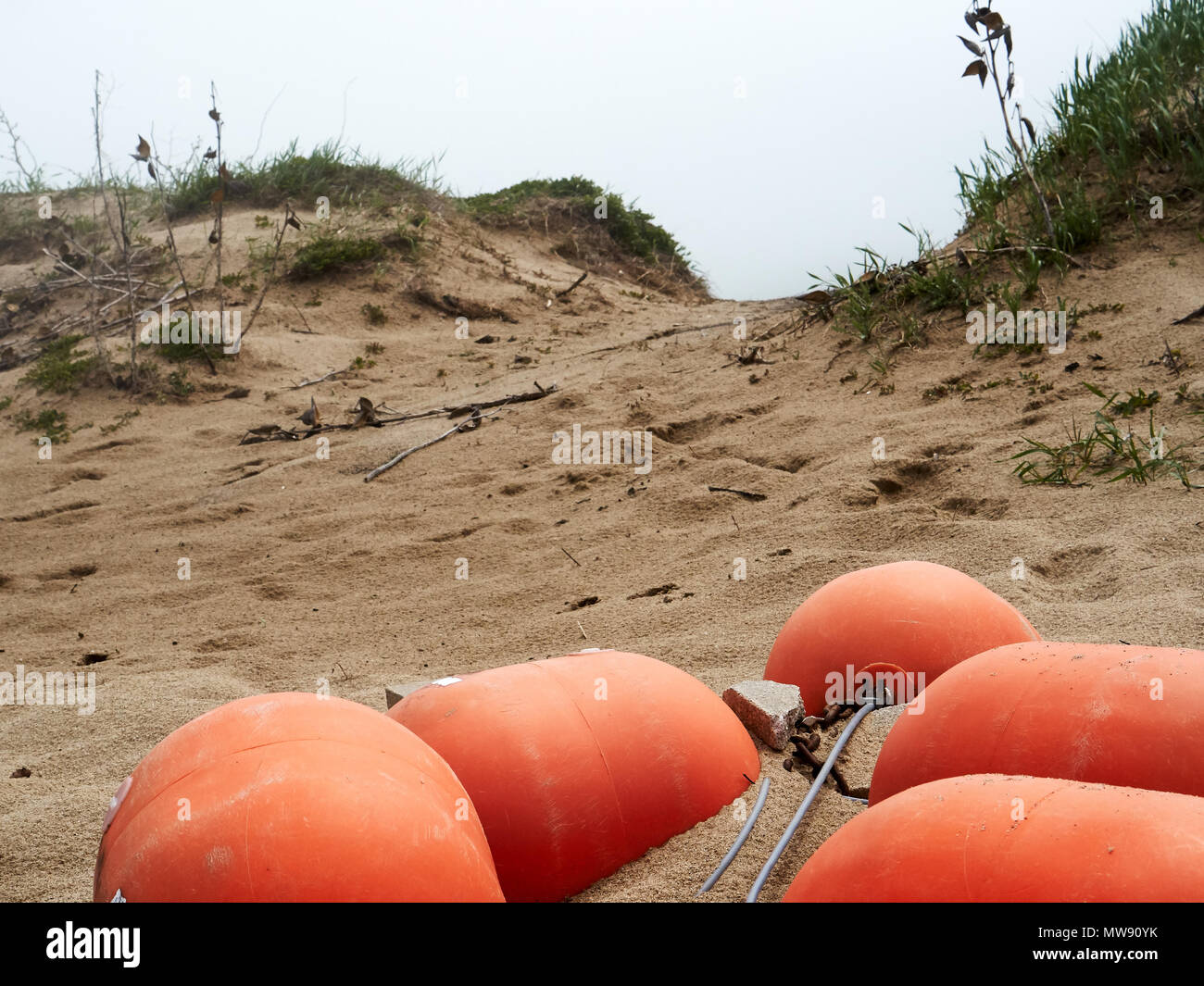 Basso angolo vista delle dune di sabbia e erbe con boe di colore arancione in primo piano Foto Stock