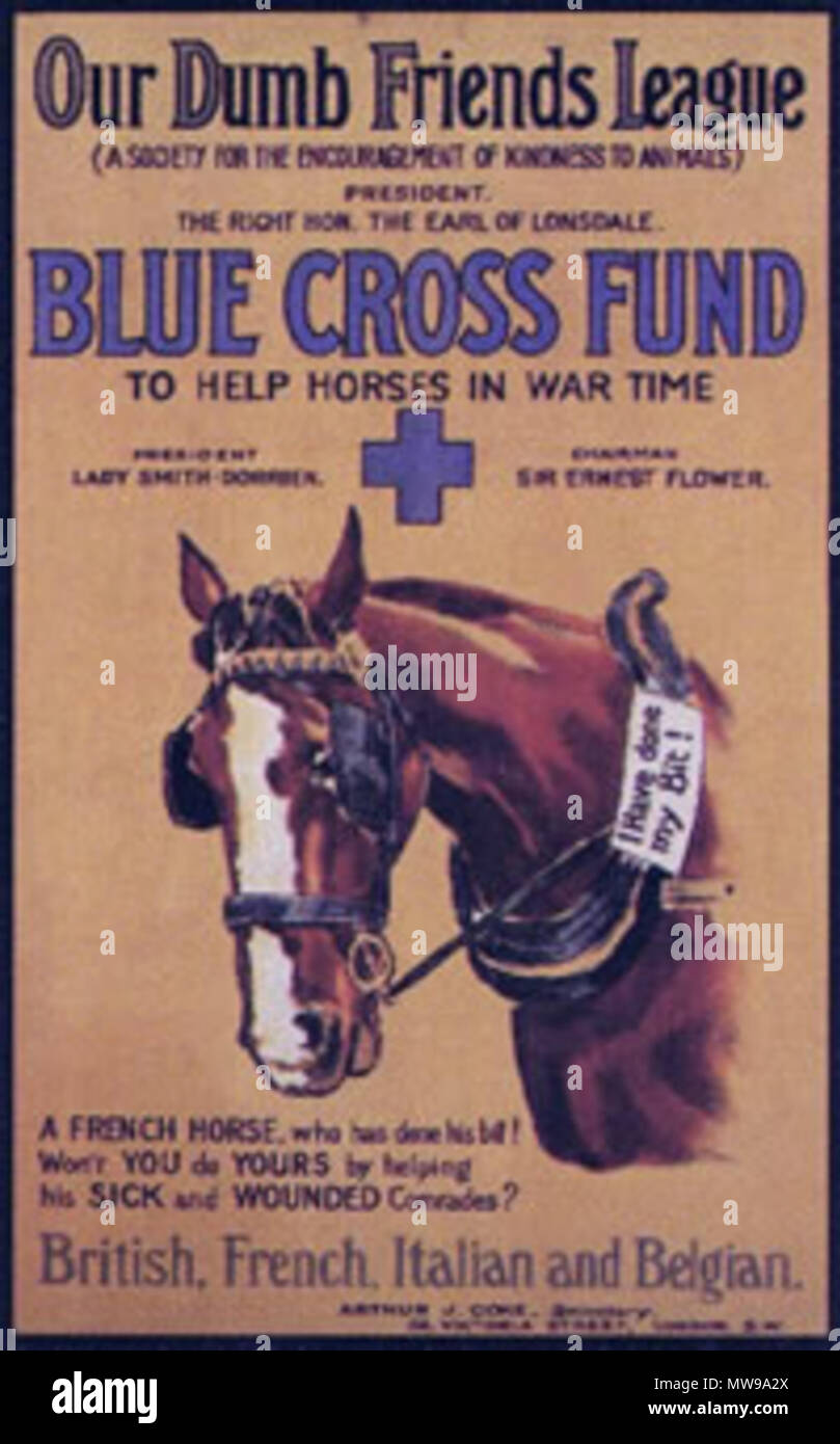 . Inglese: poster per il Blue Cross appello del nostro Dumb Friends League, pubblicato 1916 . 1916. Sconosciuto - corporate poster della nostra Dumb Friends League 87 Blue Cross poster Foto Stock