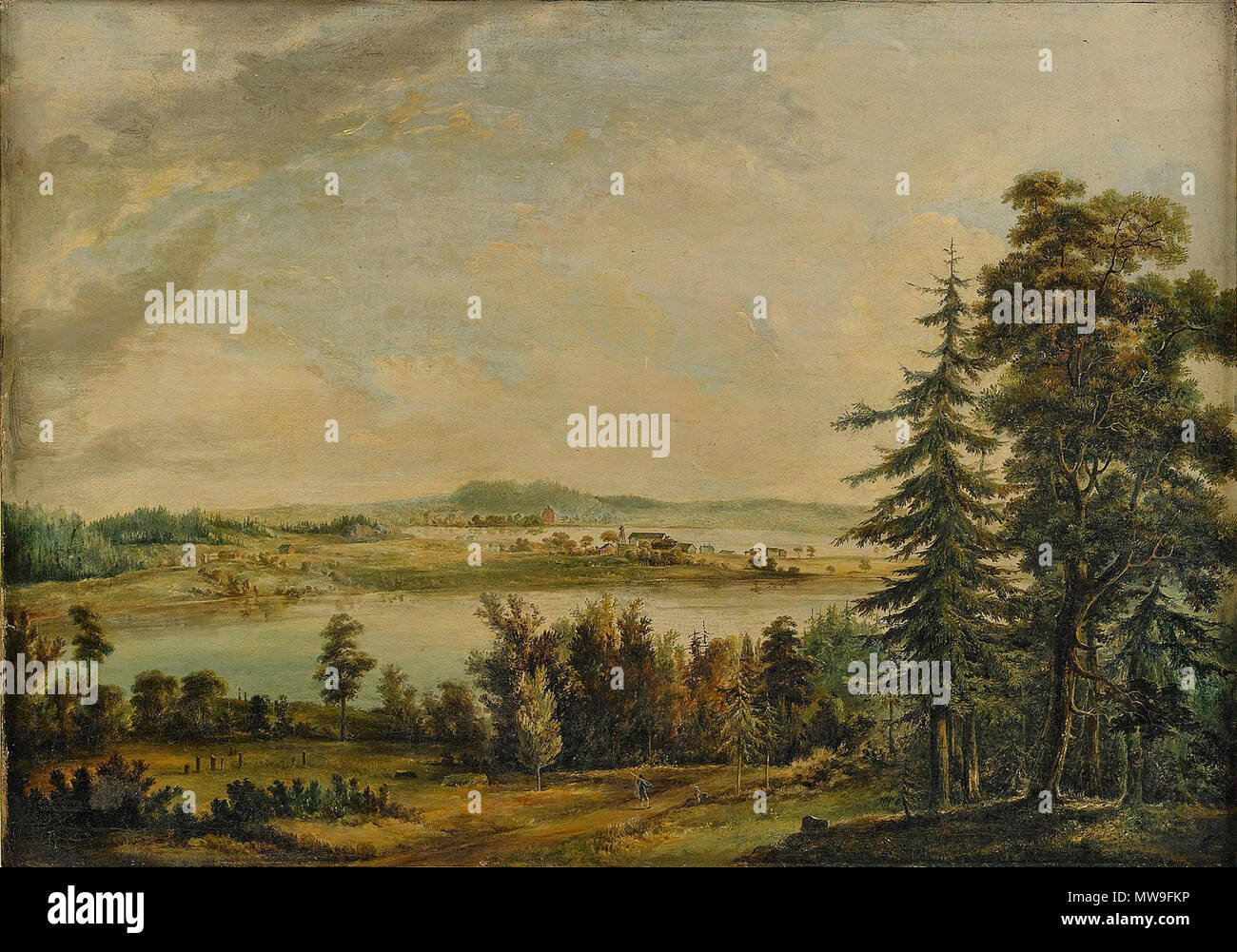 113 Carl Jonas Linmerhielm-View oltre Hallsnäs mansion - Småland Foto Stock