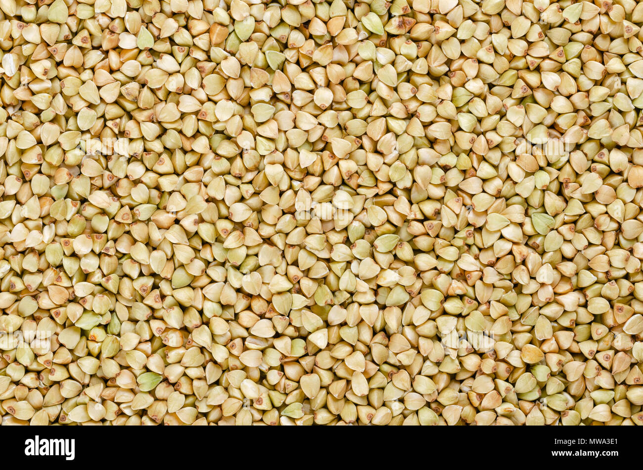 Private del picciolo comune chicchi di grano saraceno, di superficie dal di sopra. Senza glutine pseudocereal. Fagopyrum esculentum, noto anche come il giapponese o silverhull grano saraceno. Foto Stock