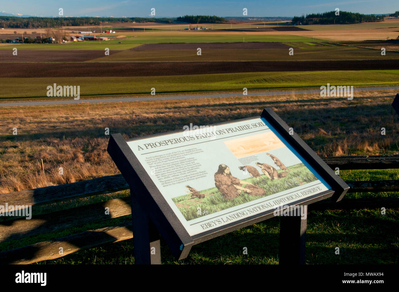 Prairie si affacciano, Ebey's Landing National Historic Reserve, Washington Foto Stock