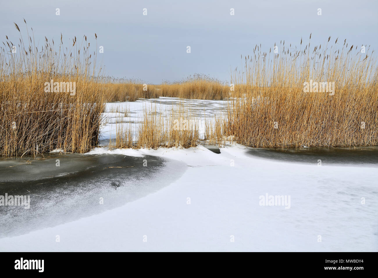 Nastro a lamelle presso il lago ghiacciato di Neusiedel, Illmitz, Burgenland, Austria Foto Stock