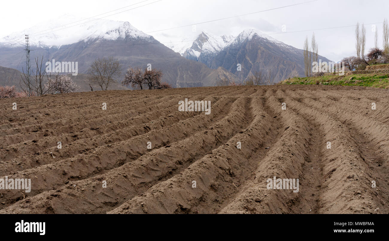 Agricoltura vuoto il campo del suolo, la preparazione per il giardinaggio di vegetale Foto Stock