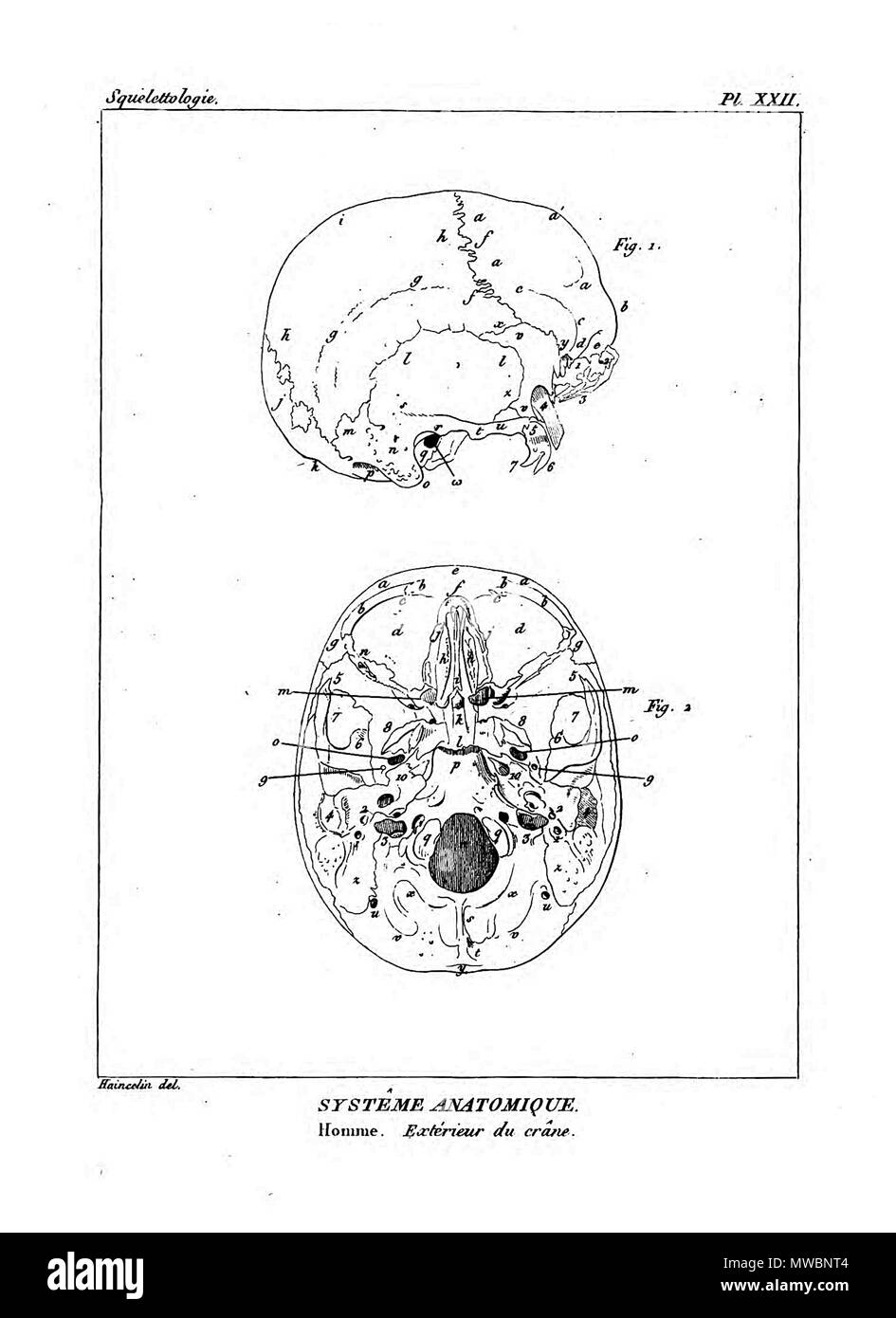 190 Encyclopédie méthodique - Systeme Anatomique, PL22 Foto Stock