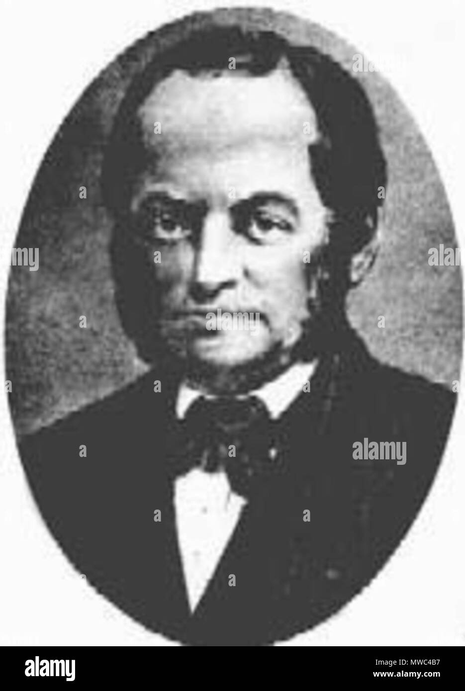 217 Franz Anton Gerstner HorseTram Foto Stock