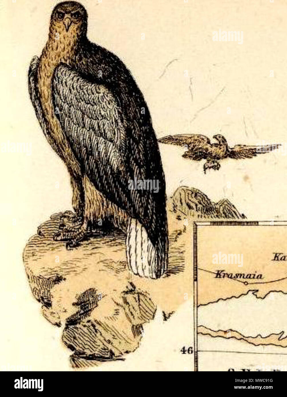 . Inglese: (Caucausus & Crimea con le porzioni del nord del nero e del Mar Caspio, Mari IX. (A) Crimea secondo Huot & Demidoff. Disegnato e inciso da J. Bartolomeo, Edimburgo. (A) Il Caucaso secondo Profr. Il dottor Karl Koch, con aggiunte di altre fonti da Augusto Petermann, F.R.G.S. Incisi da G.H. Swanston. A. Fullarton & Co. Londra, Edimburgo e Dublino. 1872. Fullarton, A. & Co 231 Fullarton, A. &AMP; Co. Caucausus &AMP; la Crimea. 1872 (U) Foto Stock