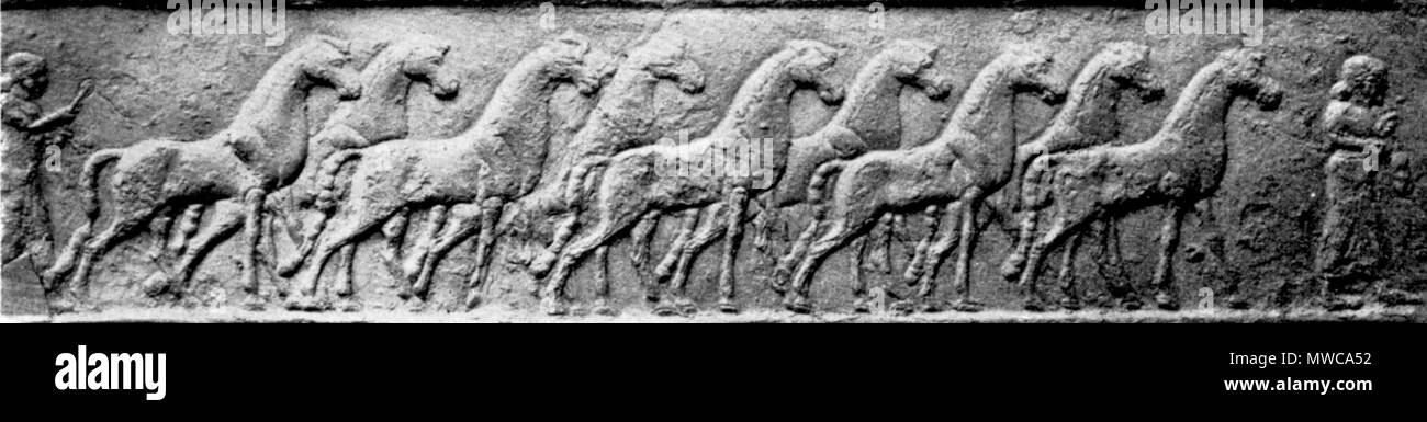 . Inglese: cavalli catturati dopo una battaglia tra assiro e soldati Urartian. circa 800 a.e.v., foto prima di 1931. Lehmann-Haupt (morto nel 1938) o sconosciuto 60 Urarartian assira battaglia cavalli catturati Foto Stock