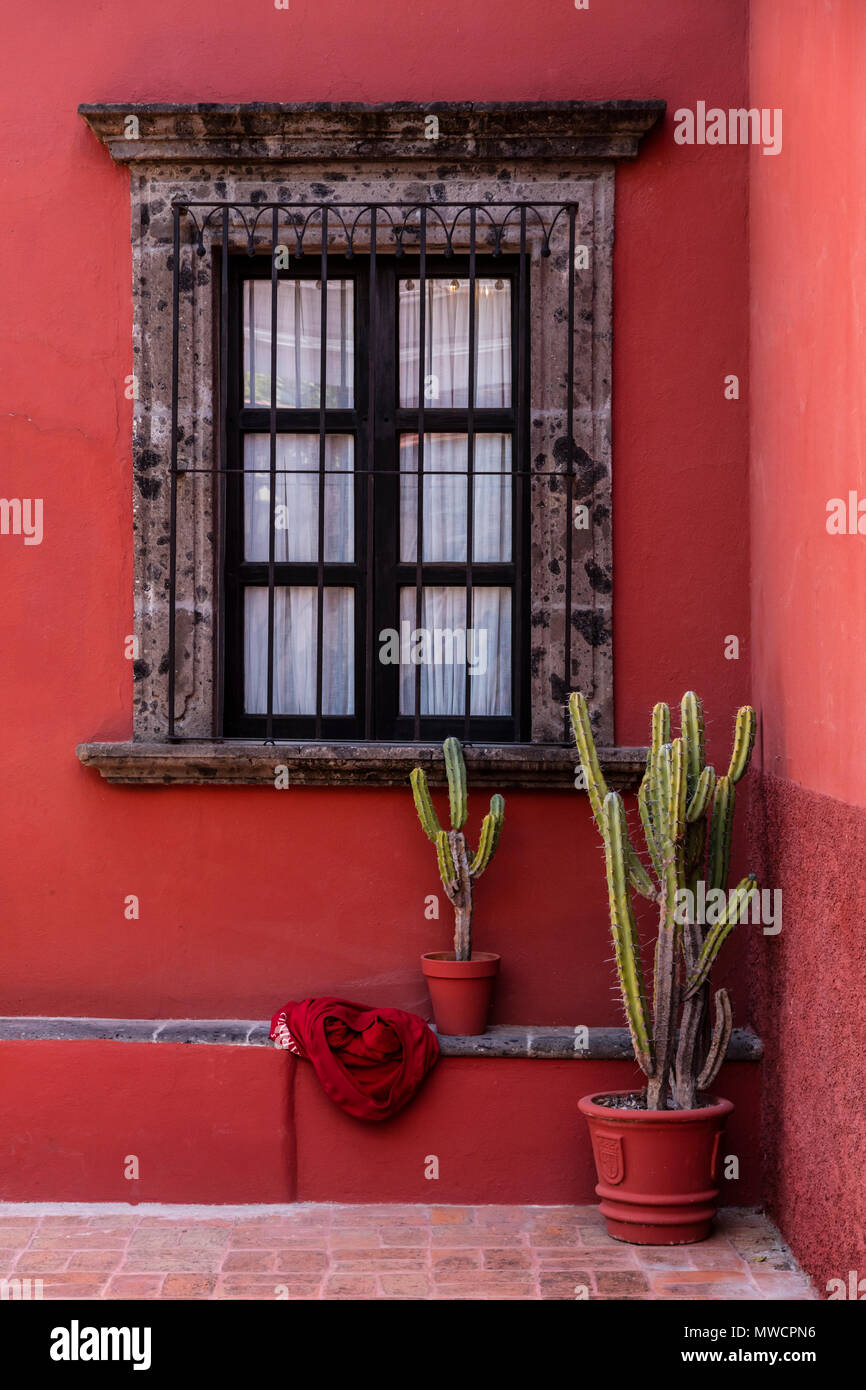 Cactus, Parete Rossa e la finestra - San Miguel De Allende, Messico Foto Stock