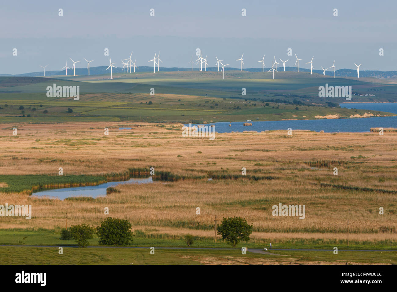 Le turbine eoliche in primavera a Dobrogea, Romania, Europa orientale Foto Stock