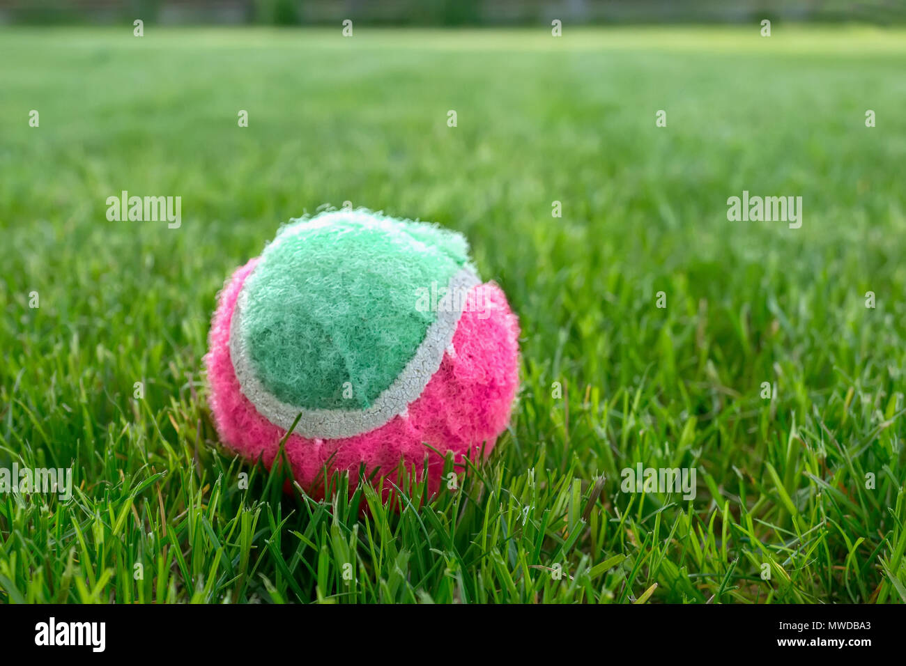 Palla da tennis su prato verde in una giornata di sole. Foto Stock